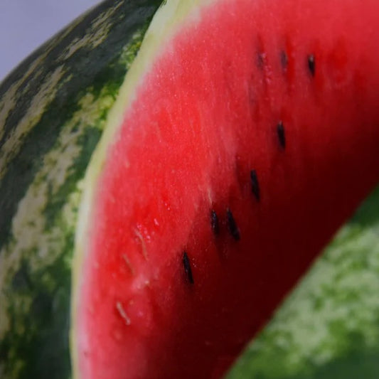 Watermelon Congo