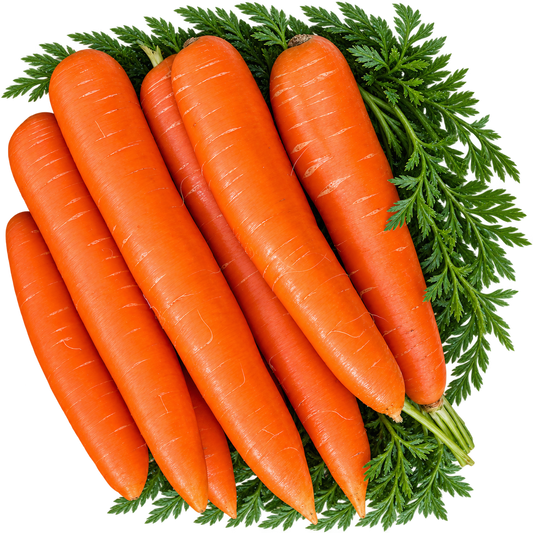 Carrot Cape Market