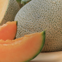 Hales Best Melon Cantaloupe