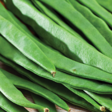 Lazy Housewife Runner Bean