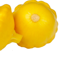 Pinwheel  F1 Hybrid Scallop Yellow / Patty Pan