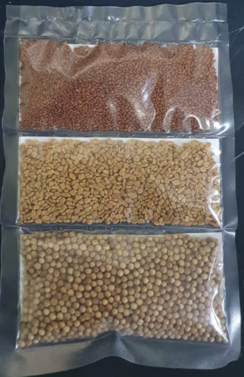Sprouting starter pak